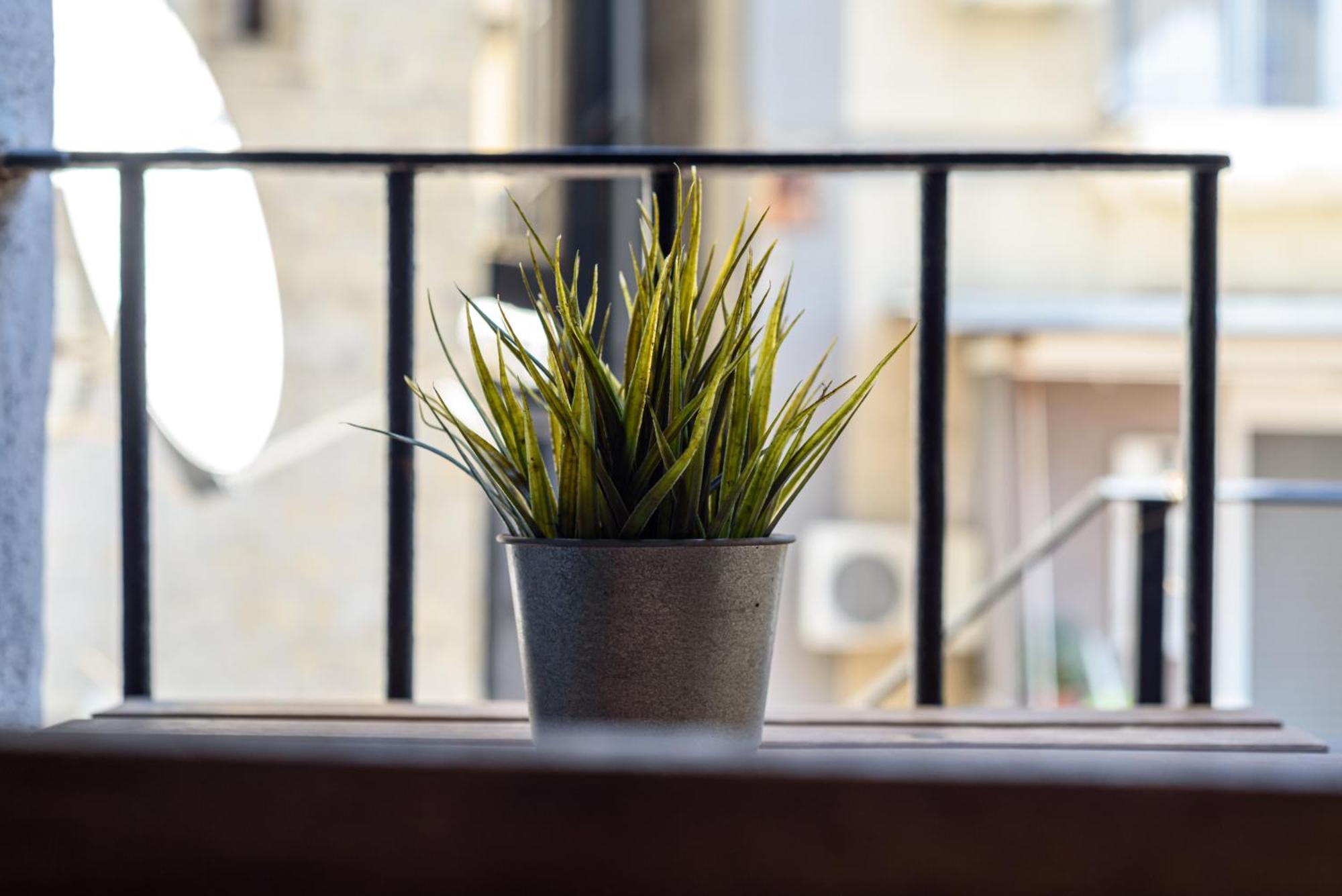 Apartmán La Terrazzina Sul Porto Neapol Exteriér fotografie