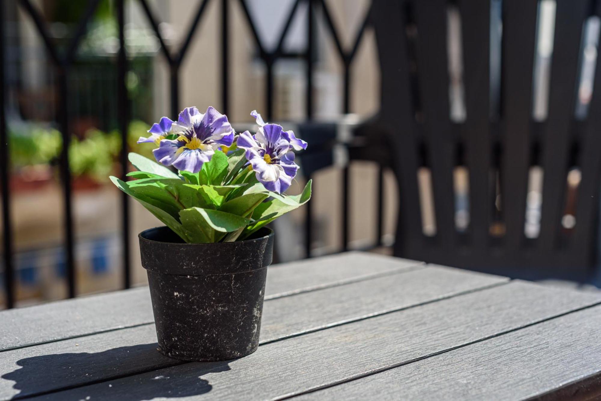 Apartmán La Terrazzina Sul Porto Neapol Exteriér fotografie